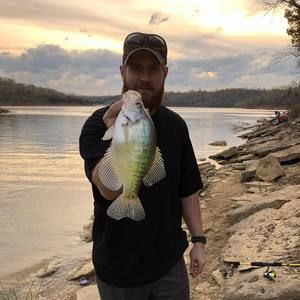 Meet your Posher, Matt